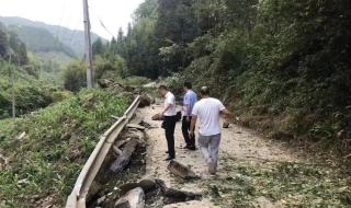 四川雅安地震4死41伤